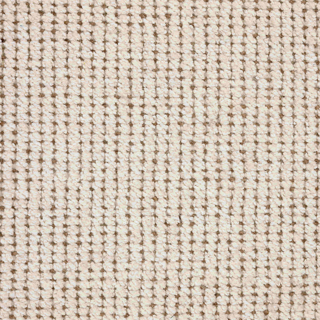 Untitled-1 - 29-12-2025 12-49-08